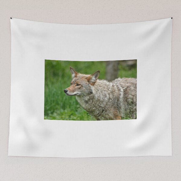 Item preview, Coyote designed and sold by Tracey  Dryka.