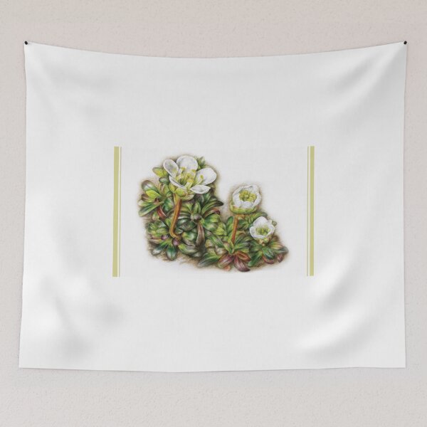 Item preview, Diapensia lapponica designed and sold by Sarah Trett.