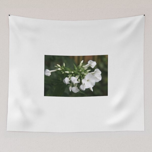 Item preview, Phlox In White designed and sold by coffeebean.
