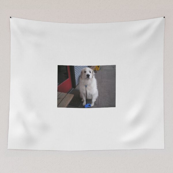 Item preview, I'm ready for treats or pets designed and sold by AuntieBarbie.