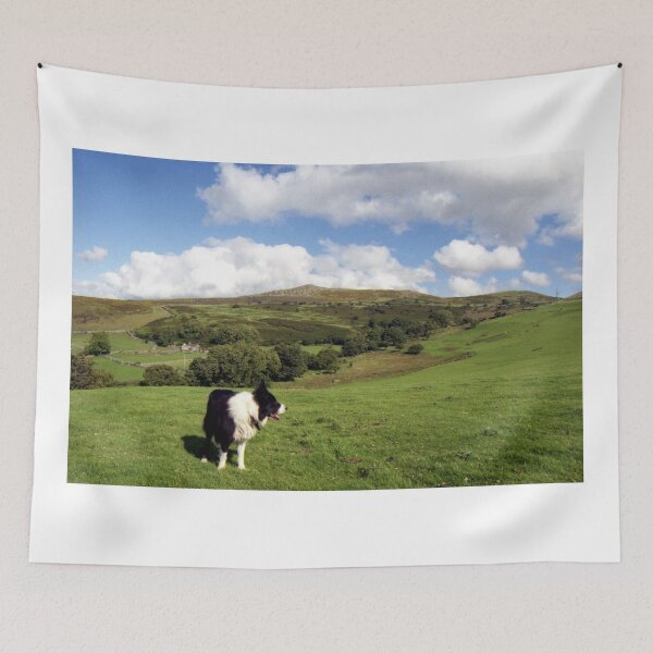 Item preview, Border Collie Paradise! designed and sold by Michael Haslam.