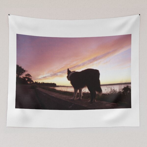 Item preview, Indy at Sunset designed and sold by Michael Haslam.