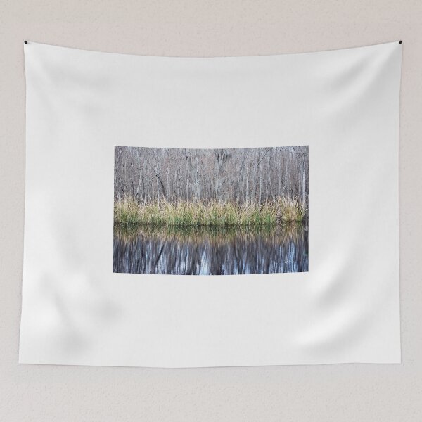 Item preview, Swamp Reflection designed and sold by Diego Re.