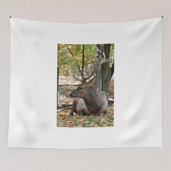 Item preview, Elk -male designed and sold by Tracey  Dryka.