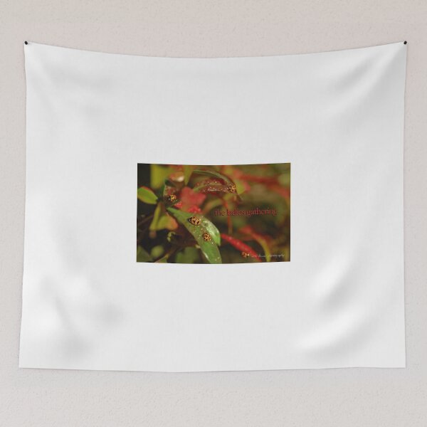 Item preview, The Ladies Gathering © Vicki Ferrari designed and sold by Vicki Ferrari Photography.
