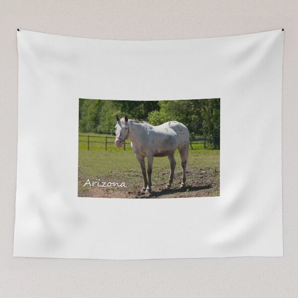 Item preview, Arizona - NNEP Ottawa, Ontario designed and sold by Tracey  Dryka.