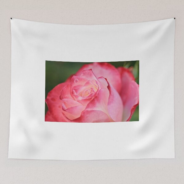 Item preview, Last of the color-my garden, Ottawa, Ont designed and sold by Tracey  Dryka.