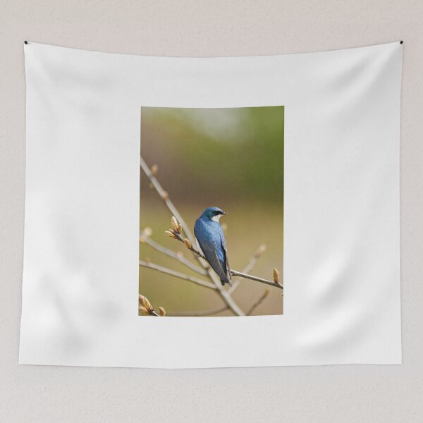 Item preview, Tree Swallow - Fletcher's Garden, Ottawa, On designed and sold by Tracey  Dryka.