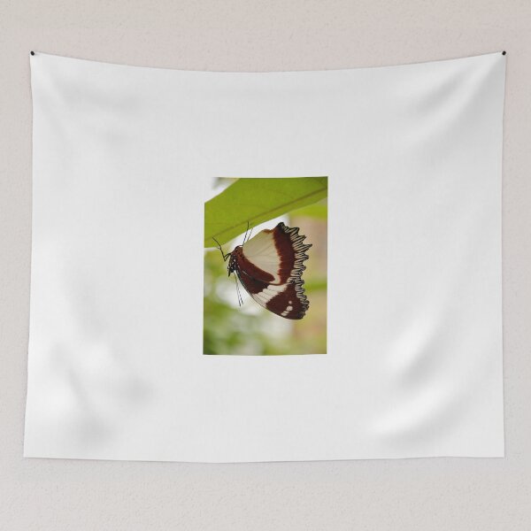 Item preview, drying out, madagascar designed and sold by mellychan.