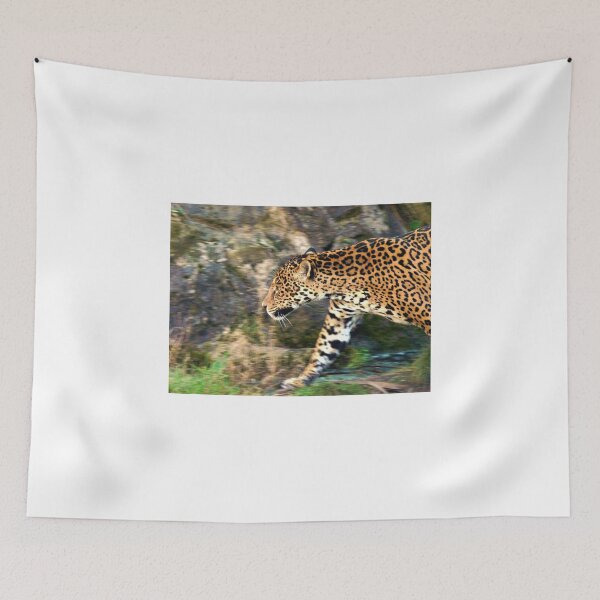 Item preview, Predator designed and sold by francophotos.