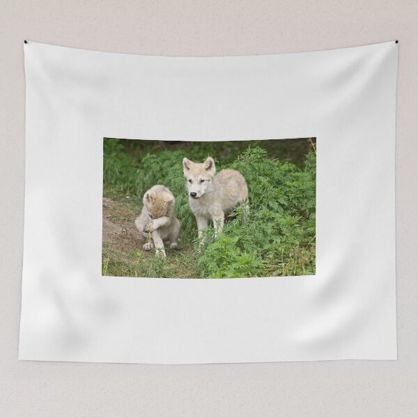 Item preview, Can't bear to look! designed and sold by Tracey  Dryka.