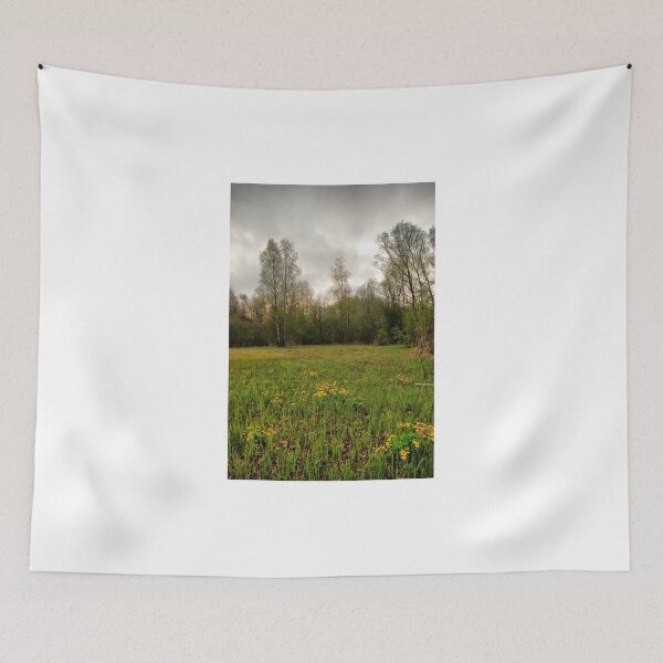 Item preview, Birches,reeds and kingcups HDR designed and sold by steppeland.