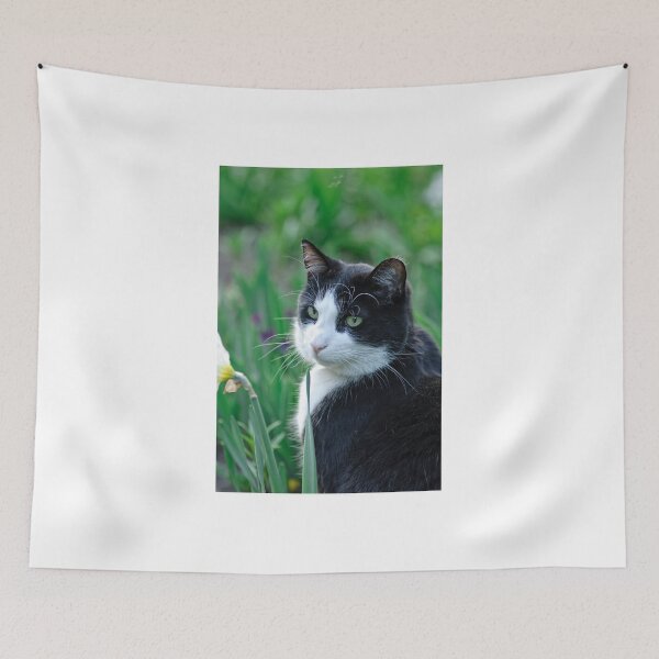 Item preview, Ole King Cole! - Ottawa, On designed and sold by Tracey  Dryka.