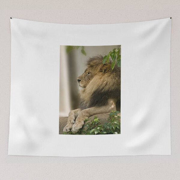 Item preview, King of all Kings! designed and sold by Tracey  Dryka.