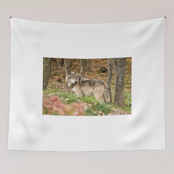Item preview, A Watchful Eye designed and sold by Tracey  Dryka.