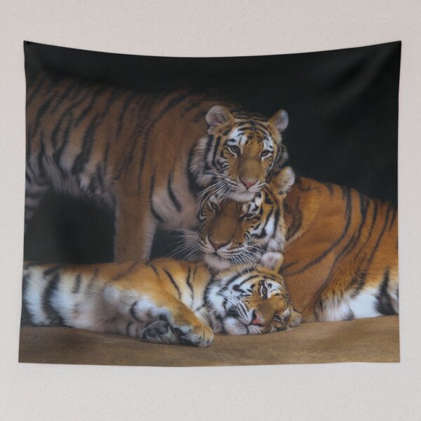 Item preview, Amba, Tula, and Nuri - A Tiger Family designed and sold by Scott Engel.