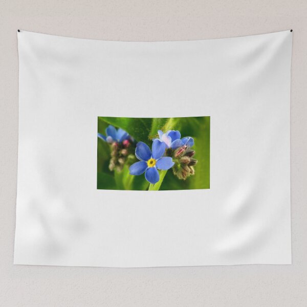 Item preview, Forget-Me-Not designed and sold by SmoothBreeze7 | Liz Collet Photography.