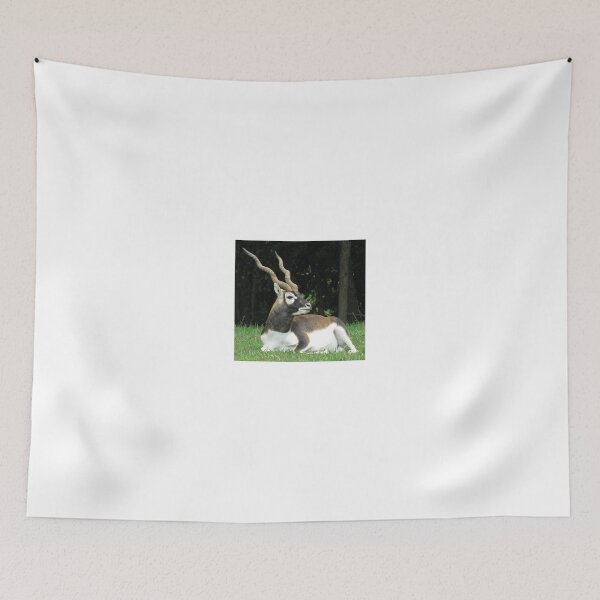 Item preview, Male Black Buck Antelope designed and sold by Ginny York.