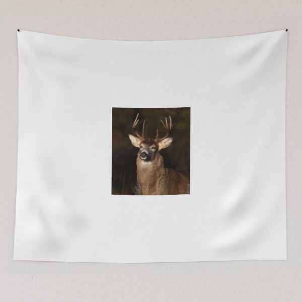 Item preview, I am 'King' of this forest! - White-tailed Deer designed and sold by James Cumming.