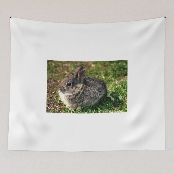 Item preview, Baby Cottontail designed and sold by Larry Trupp.