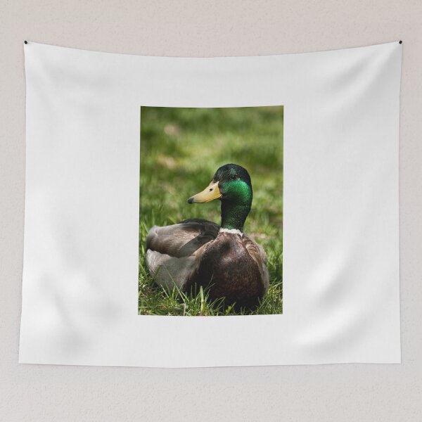 Item preview, Mallard - Fletcher's Garden designed and sold by Tracey  Dryka.