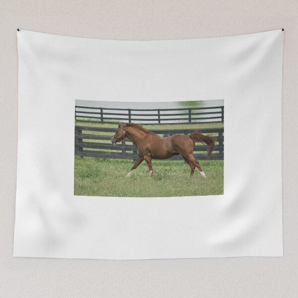 Item preview, Show Off!! designed and sold by Tracey  Dryka.