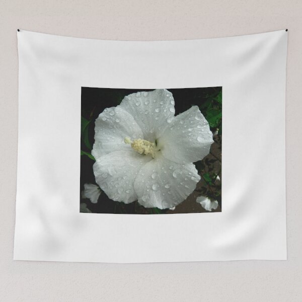 Item preview, White Hibiscus designed and sold by Amy Herrfurth.