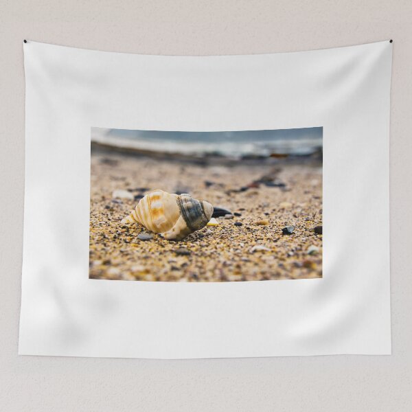 Item preview, Shell on the pebble beach designed and sold by Richard Keech.