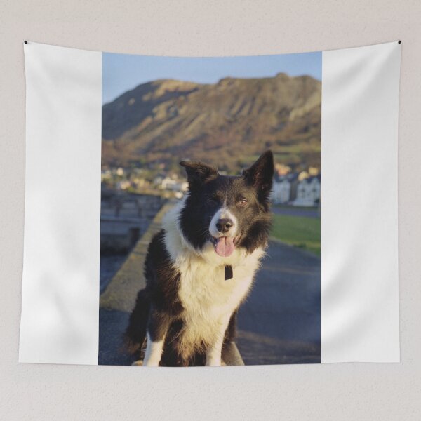 Item preview, "A Smile a day keeps the Vet away" designed and sold by Michael Haslam.