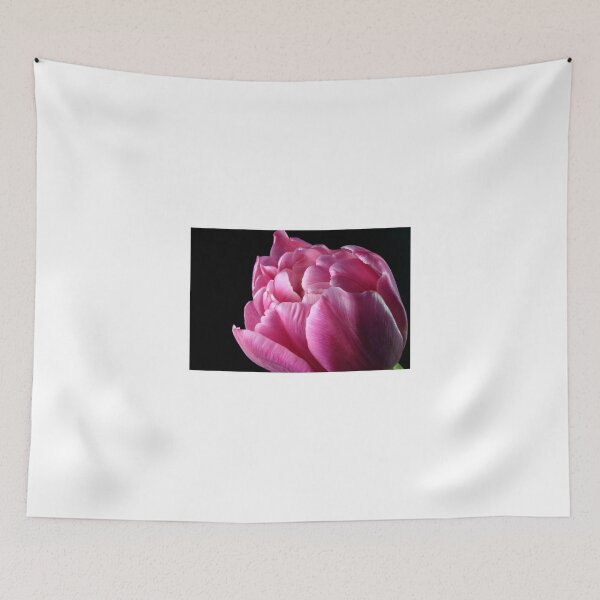 Item preview, Pink Tulip Awaiting Springtime designed and sold by SmoothBreeze7 | Liz Collet Photography.
