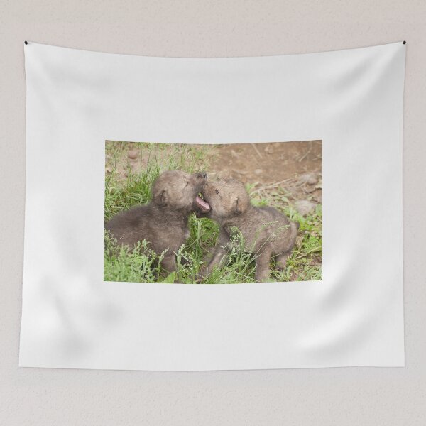Item preview, No I'm Better! designed and sold by Tracey  Dryka.