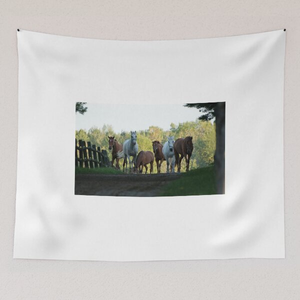 Item preview, Even Horses Don't Have Great Mornings designed and sold by Tracey  Dryka.