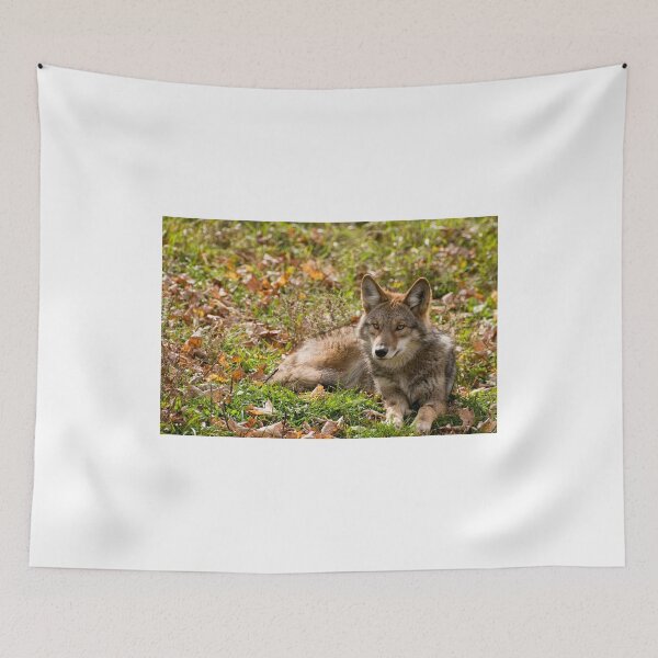 Item preview, Taking Life Easy designed and sold by Tracey  Dryka.