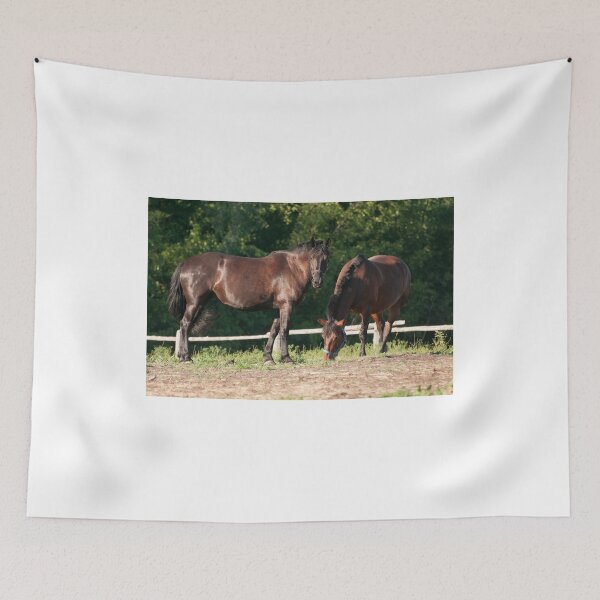 Item preview, Buddies  Shi and Pam = NNEP Ottawa, ON designed and sold by Tracey  Dryka.