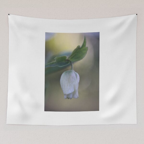 Item preview, Melancholy designed and sold by coffeebean.