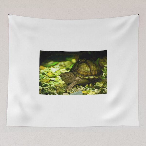 Item preview, Razorback Musk Turtle designed and sold by Diego Re.