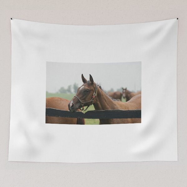 Item preview, Looking Pretty! designed and sold by Tracey  Dryka.