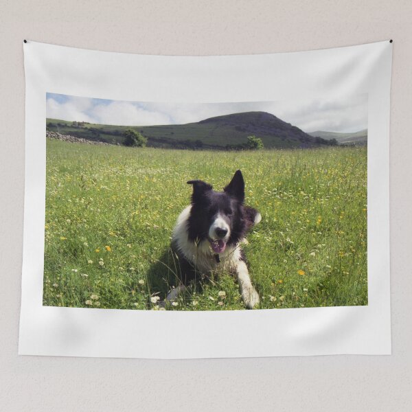 Item preview, Lazy Summer Day with Indy designed and sold by Michael Haslam.
