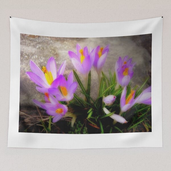Item preview,  Crocus Family designed and sold by Eugenio.