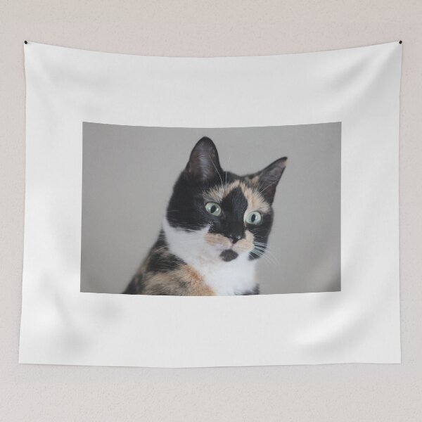 Item preview, Eris designed and sold by ghosttree.