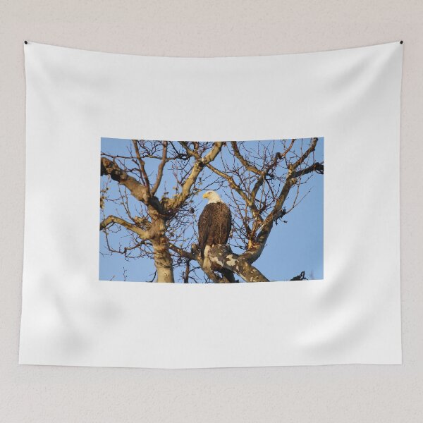 Item preview, Good Morning Mr Bald Eagle designed and sold by PsychoAlien.com.