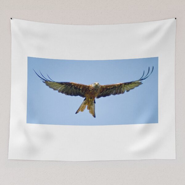 Item preview, The Red Kite designed and sold by Anthony Hedger Photography.