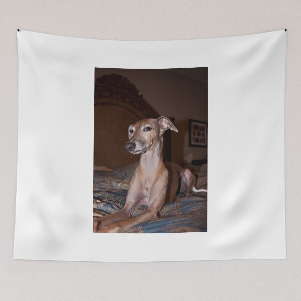 Item preview, Guido designed and sold by eegibson.