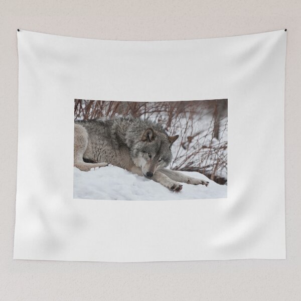 Item preview, Cooling Down designed and sold by Tracey  Dryka.