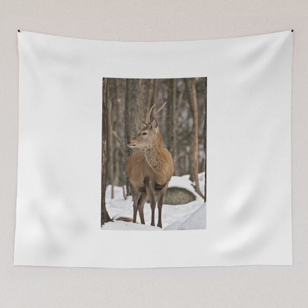 Item preview, Young buck designed and sold by Tracey  Dryka.