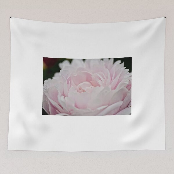 Item preview, Peony - Experitmantal farms, Ottawa, ON designed and sold by Tracey  Dryka.