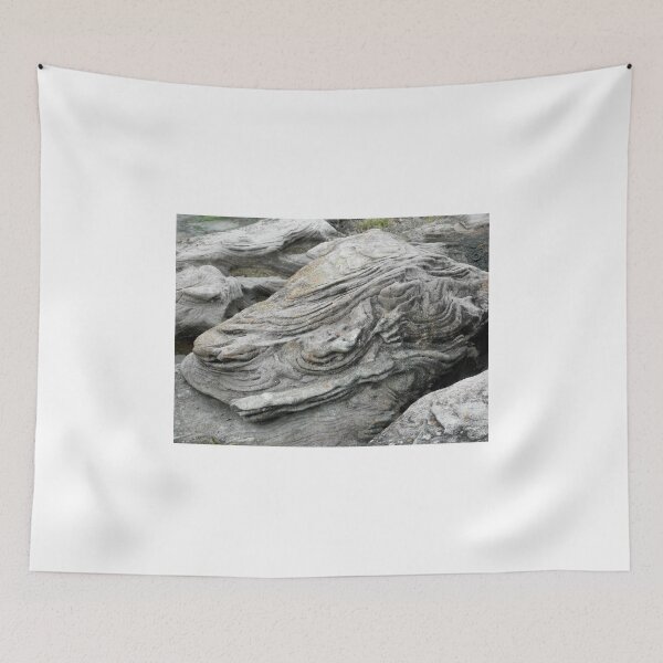 Item preview, Crocodile Rock, Harbord, NSW, Australia. designed and sold by kaysharp.