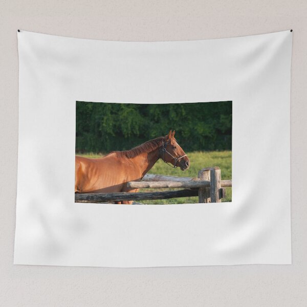Item preview, Holly - NNEP Ottawa, Ontario designed and sold by Tracey  Dryka.
