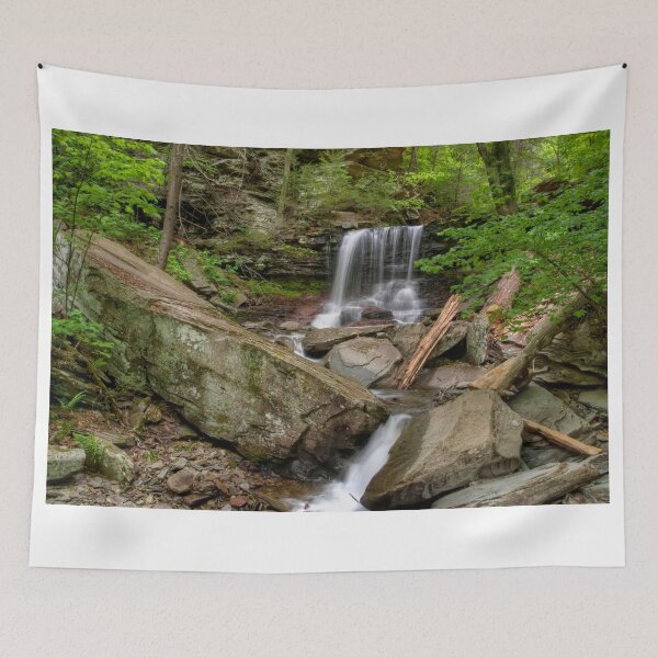 Item preview, Spring Finally Arrives at B. Reynolds Falls designed and sold by Gene Walls.