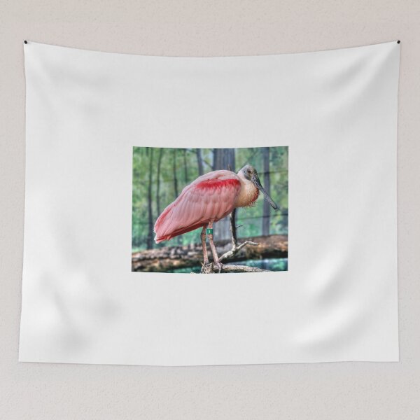 Item preview, Roseate Spoonbill designed and sold by Larry Trupp.